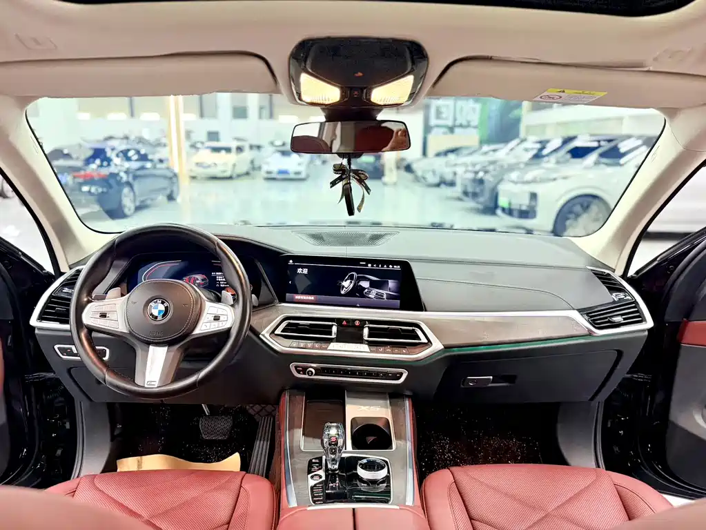 BMW X5 — миниатюра 9