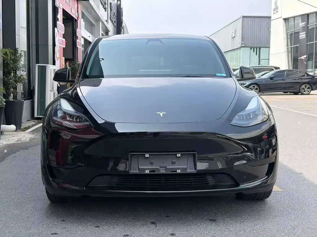 Tesla Model Y — миниатюра 2