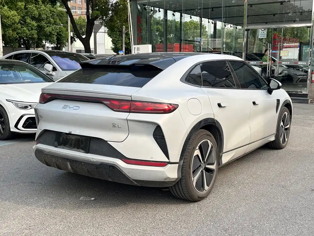 BYD L EV — миниатюра 5