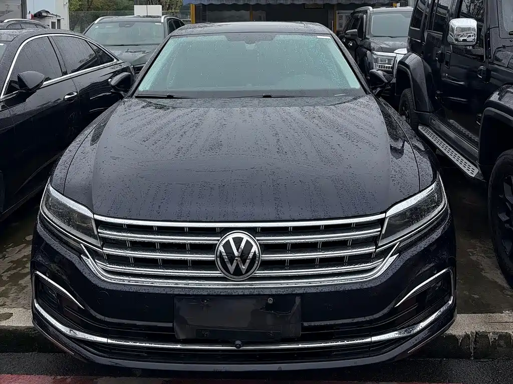Volkswagen Phideon — миниатюра 2