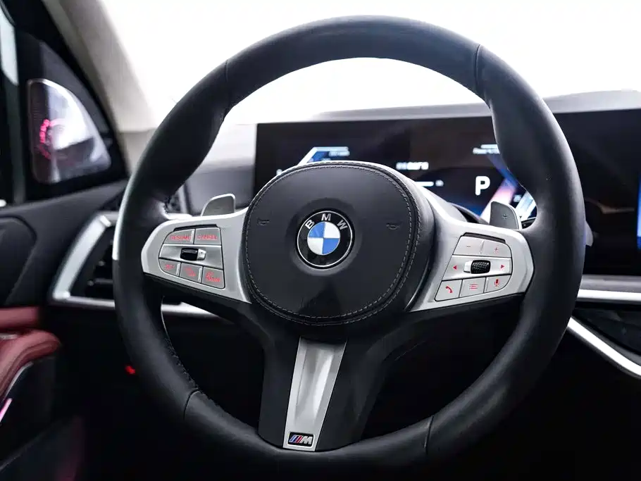 BMW X5 — миниатюра 16