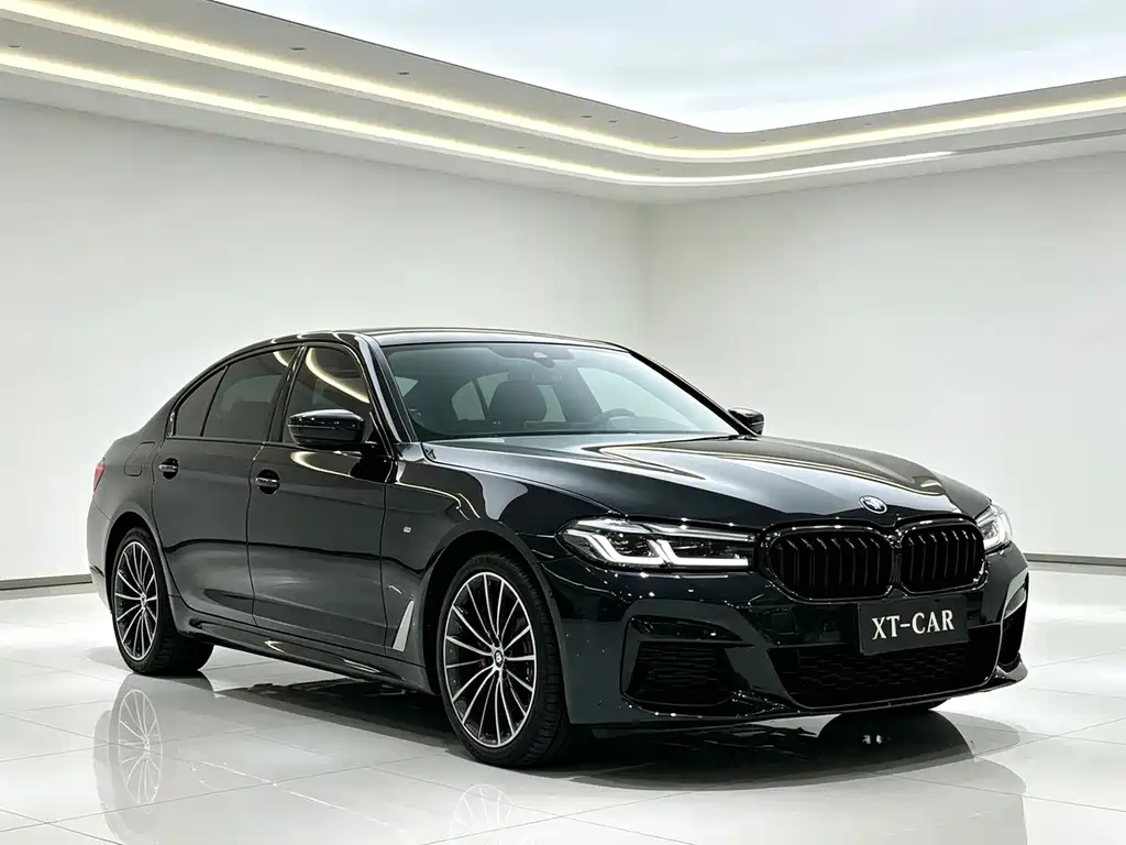 BMW 5 Series — миниатюра 3