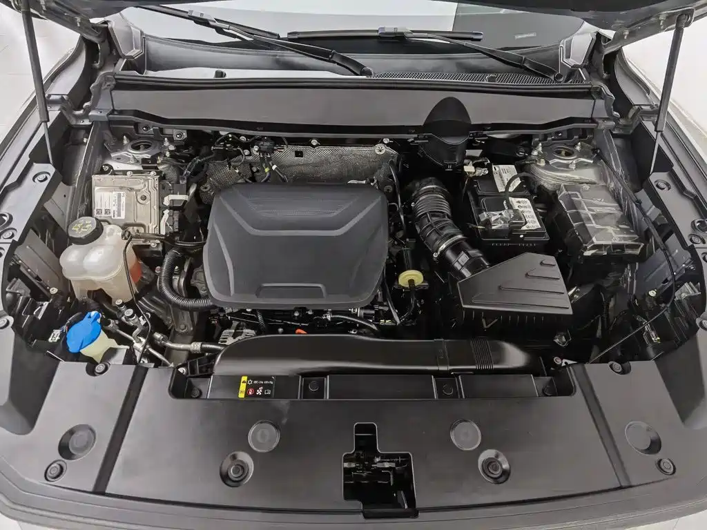 Haval Big Dog PLUS — миниатюра 6