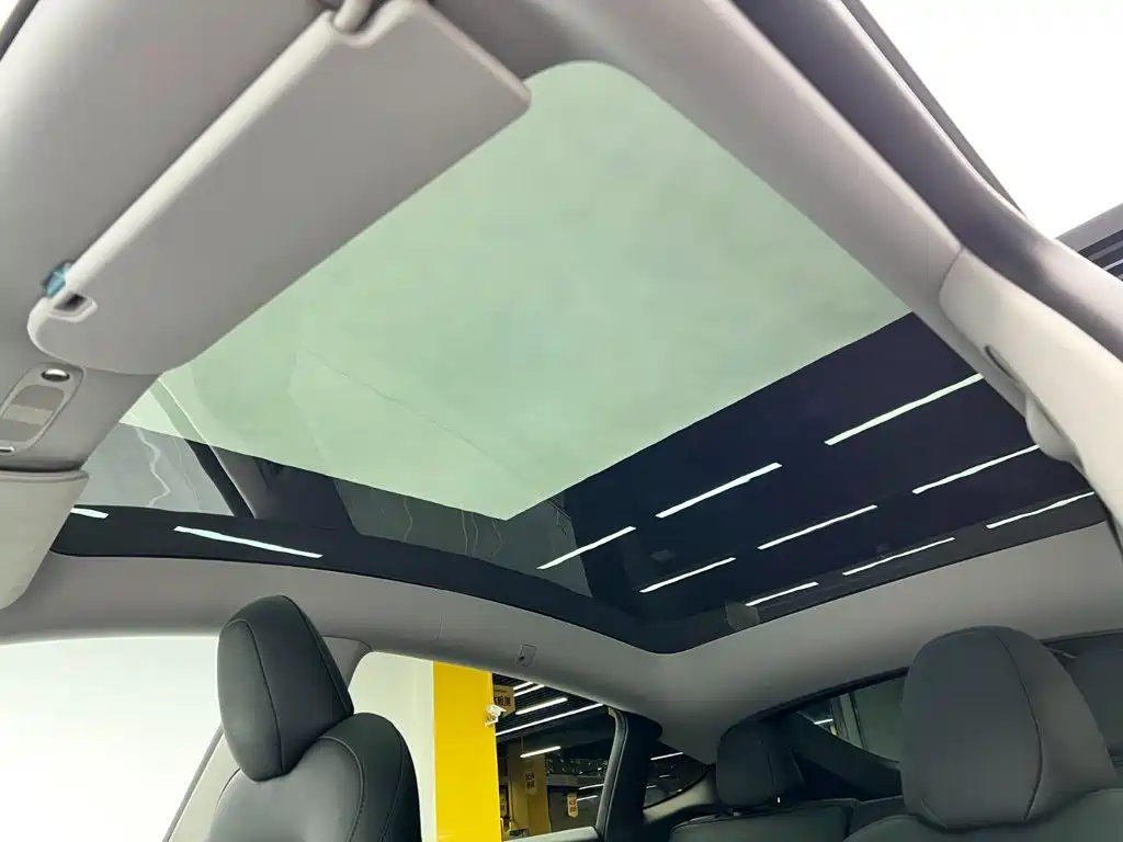 Tesla Model Y — миниатюра 17