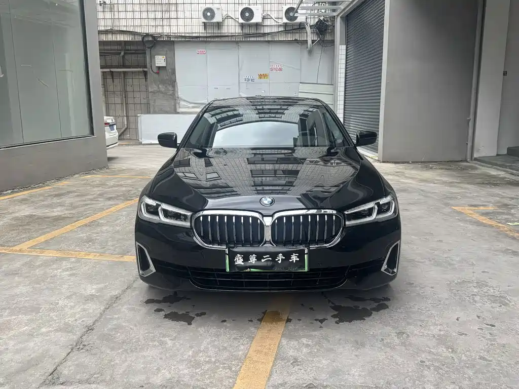 BMW 5 Series New Energy — миниатюра 2