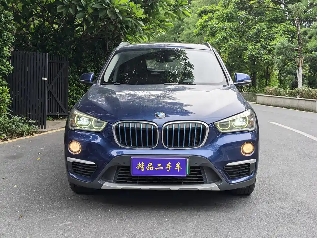 BMW X1 2019 xDrive25Le Luxury