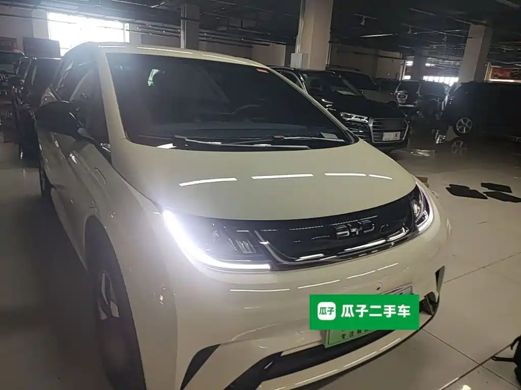 BYD Dolphin — миниатюра 4