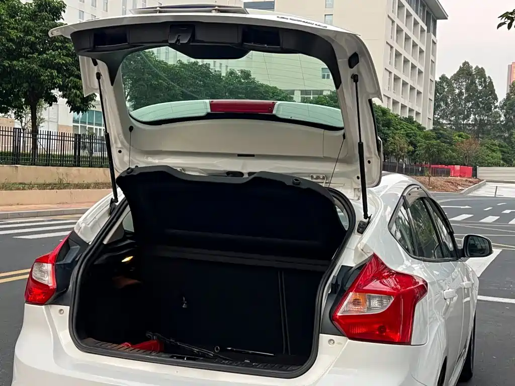 Ford Focus — миниатюра 28