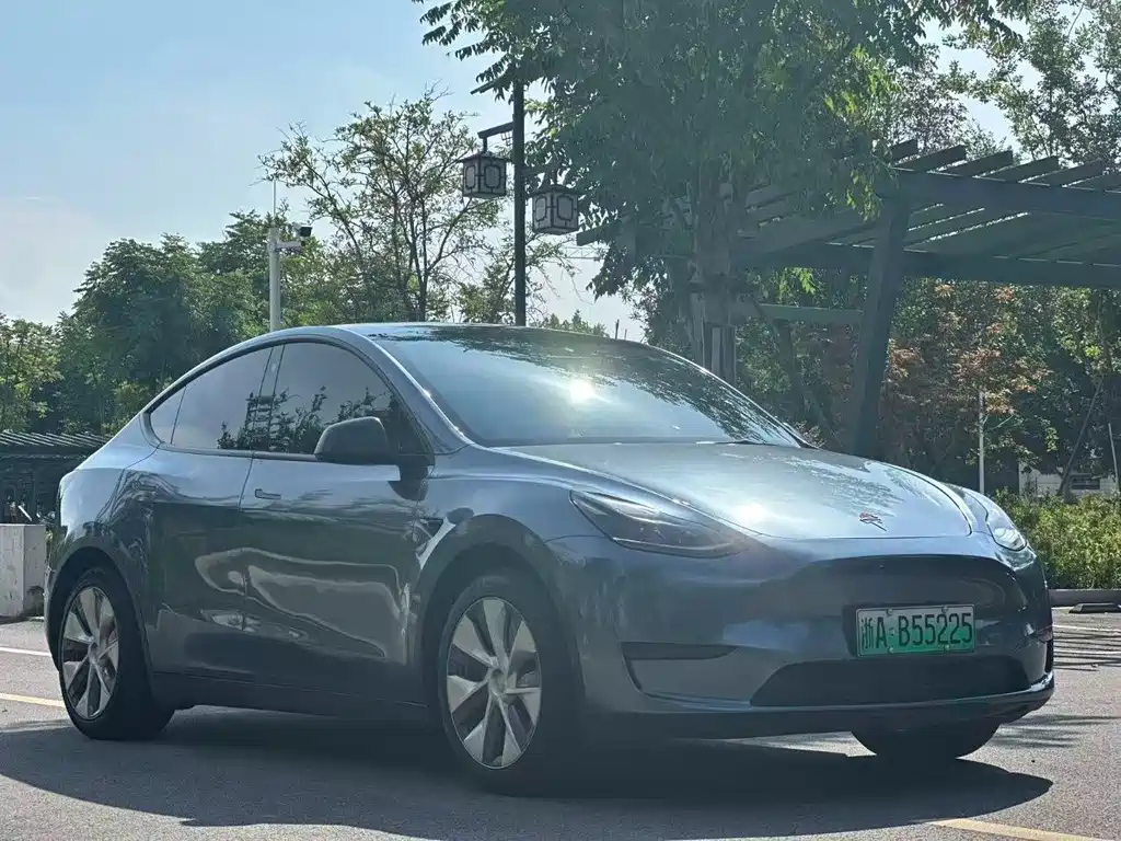 Tesla Model Y — миниатюра 3