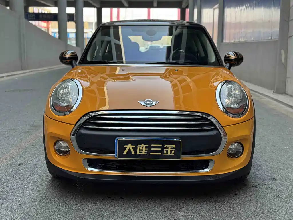 Mini Mini 2016