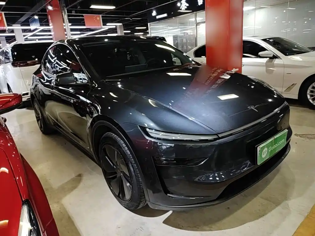 Tesla Model Y — миниатюра 4