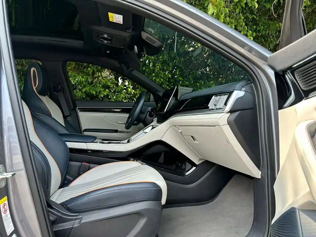 BYD PLUS New Energy — миниатюра 4