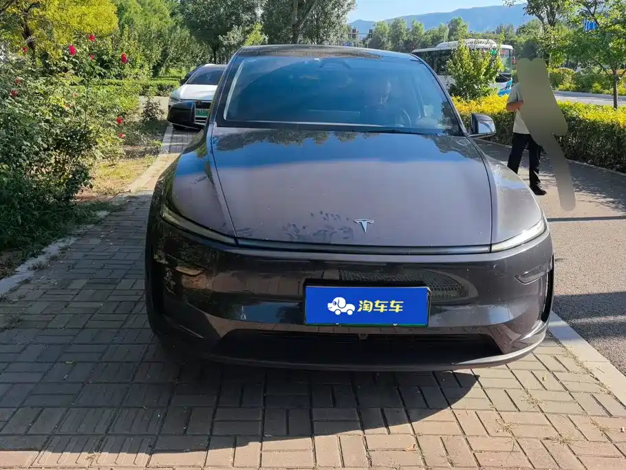 Tesla Model Y — миниатюра 2