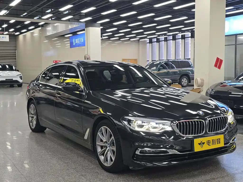 BMW 5 Series 5 2019 530Le Luxury