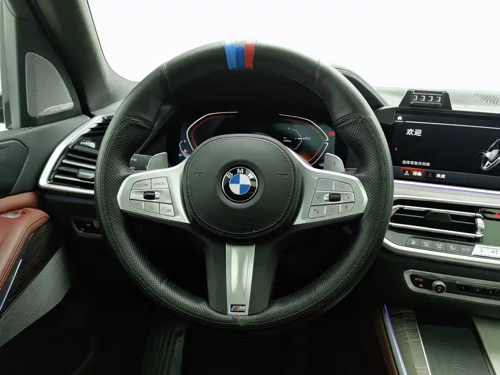 BMW X5 — миниатюра 11