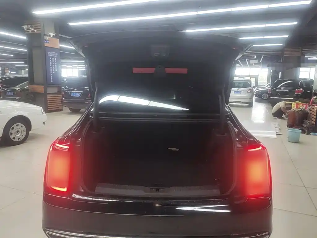Hongqi Hongqi H9 — миниатюра 19