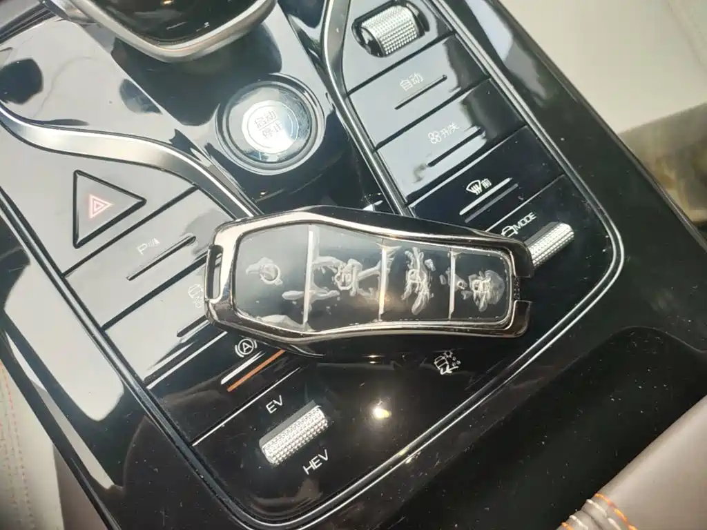 BYD Qin Plus PLUS 2023 Champion DM-i 55KM Lead