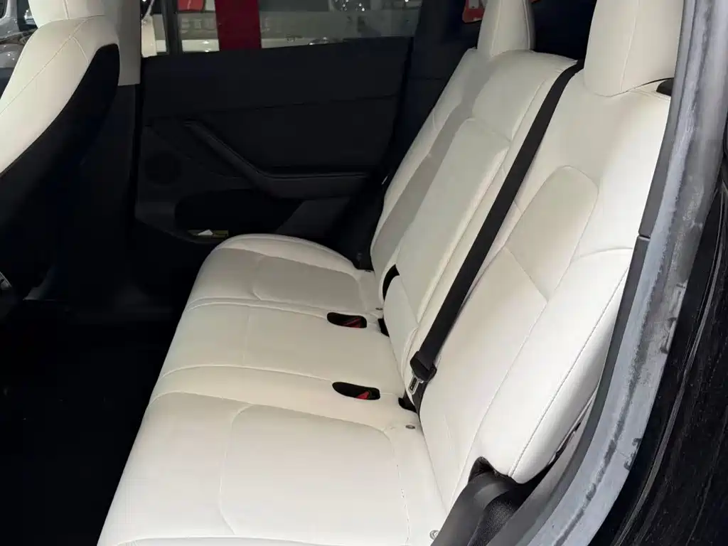 Tesla Model Y — миниатюра 6