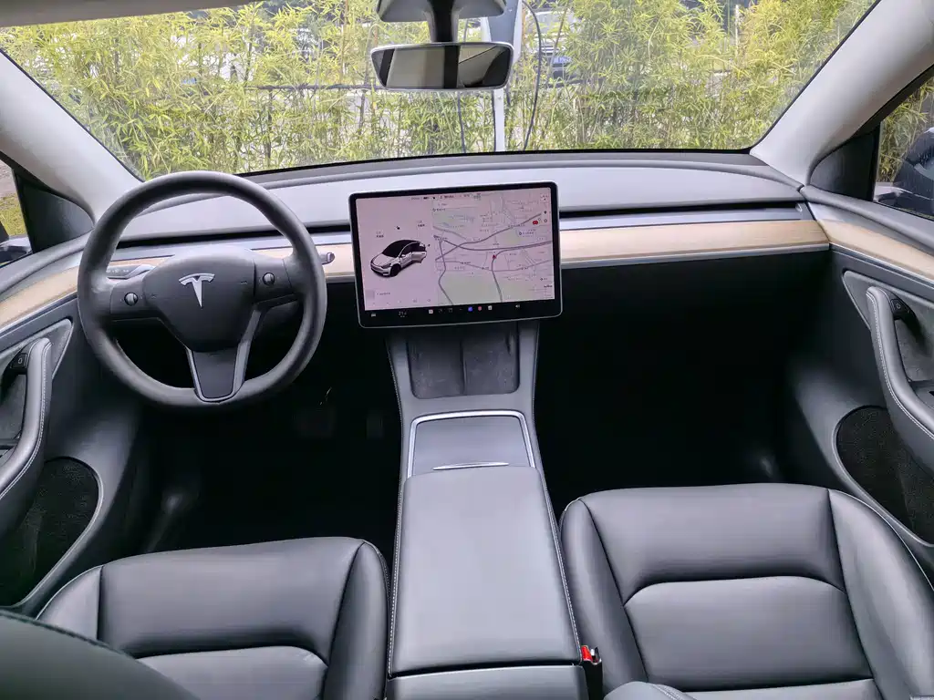 Tesla Model Y — миниатюра 14