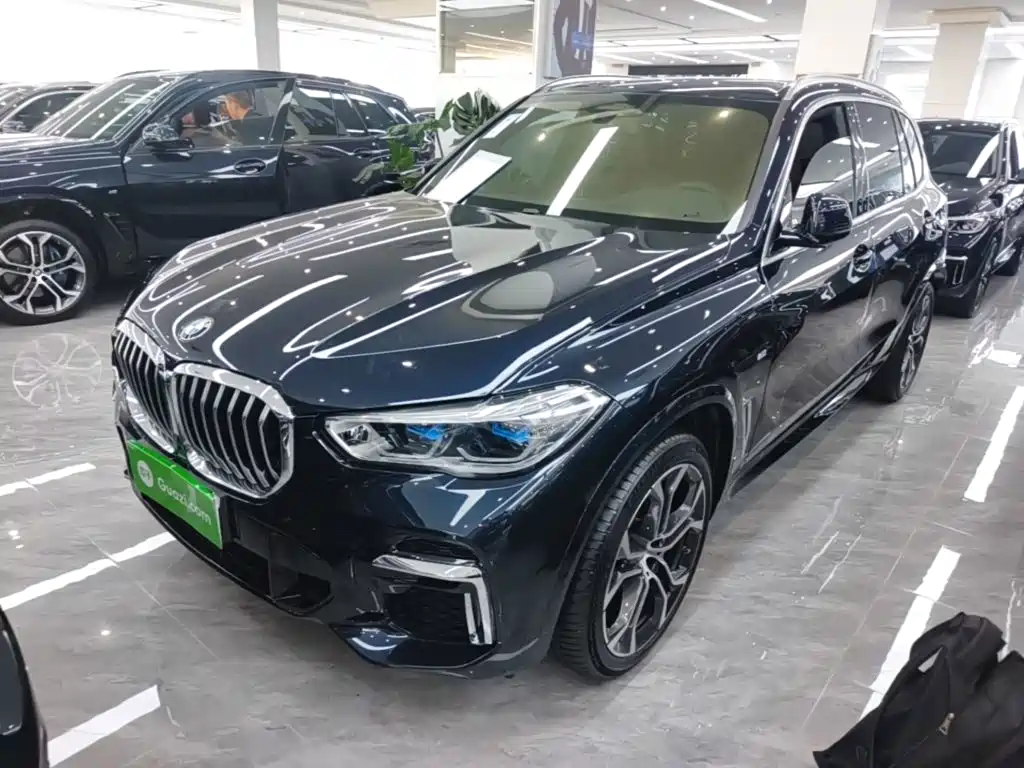 BMW X5 — миниатюра 2