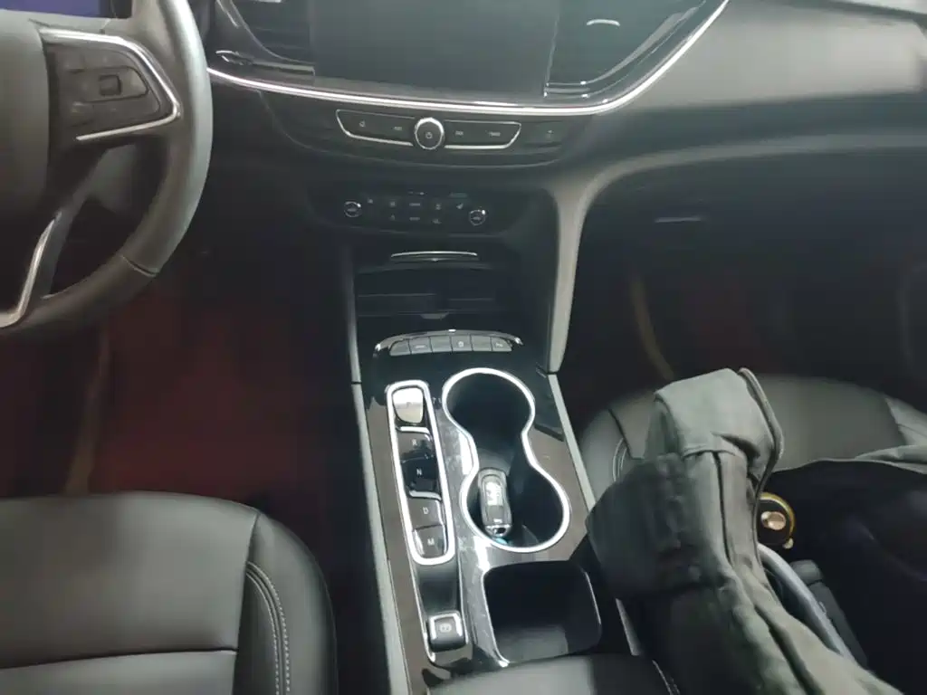 Buick Regal — миниатюра 14