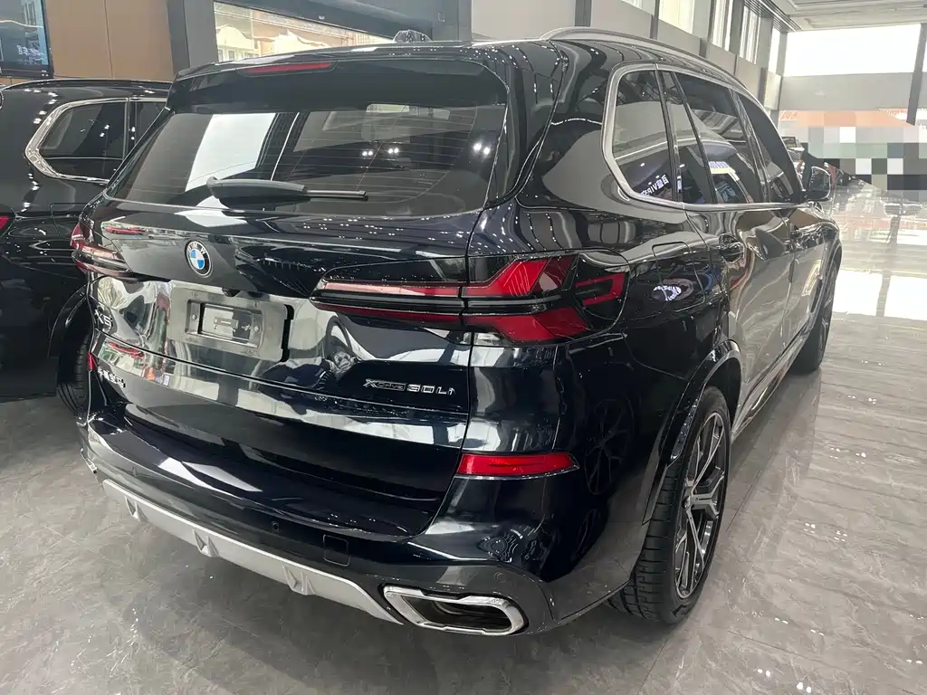 BMW X5 — миниатюра 8