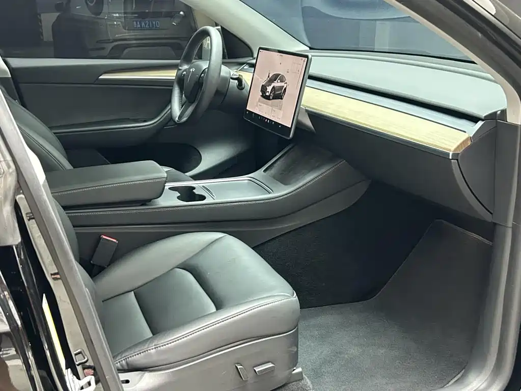 Tesla Model Y — миниатюра 5