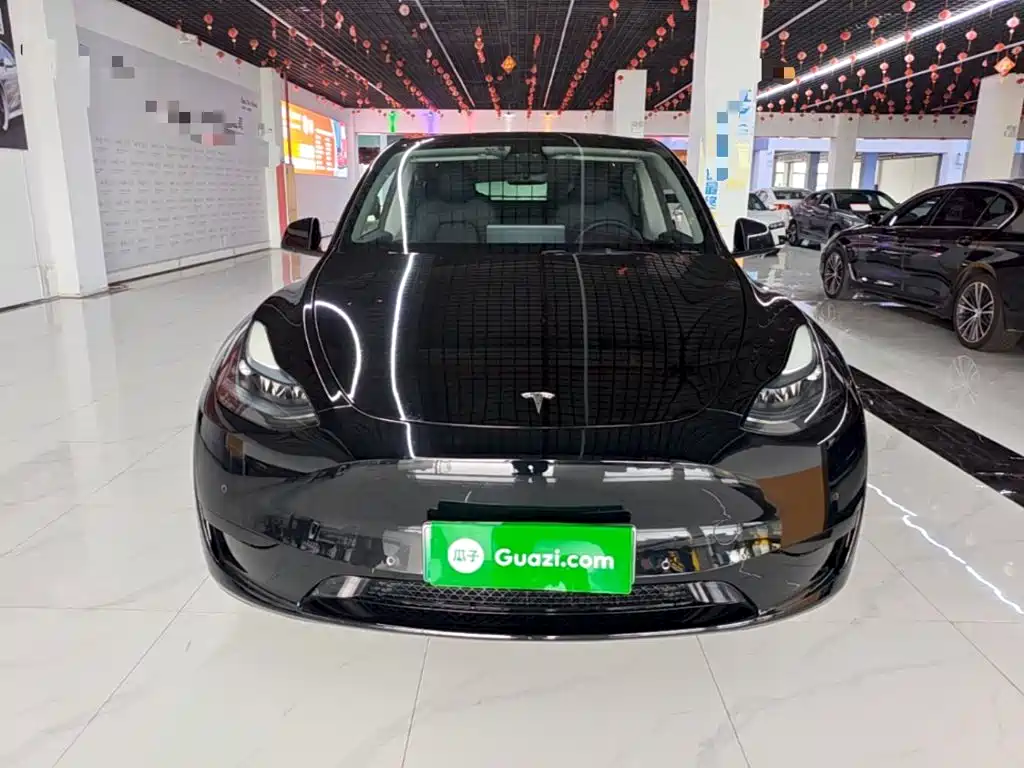 Tesla Model Y — миниатюра 3