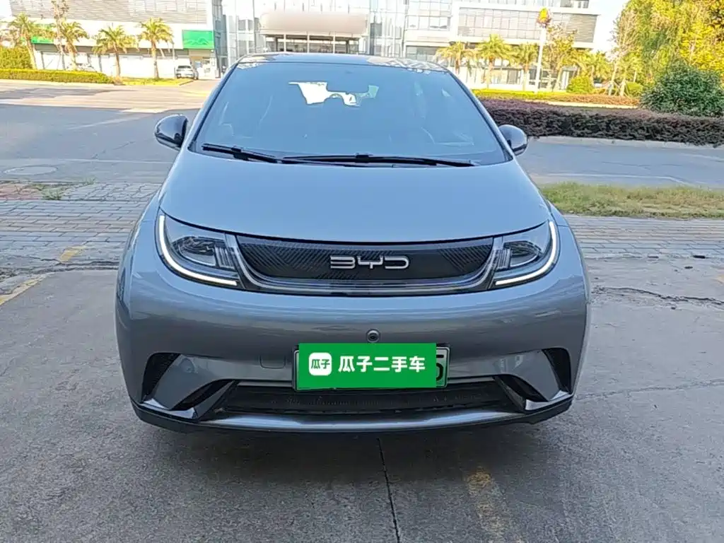 BYD Dolphin — миниатюра 3
