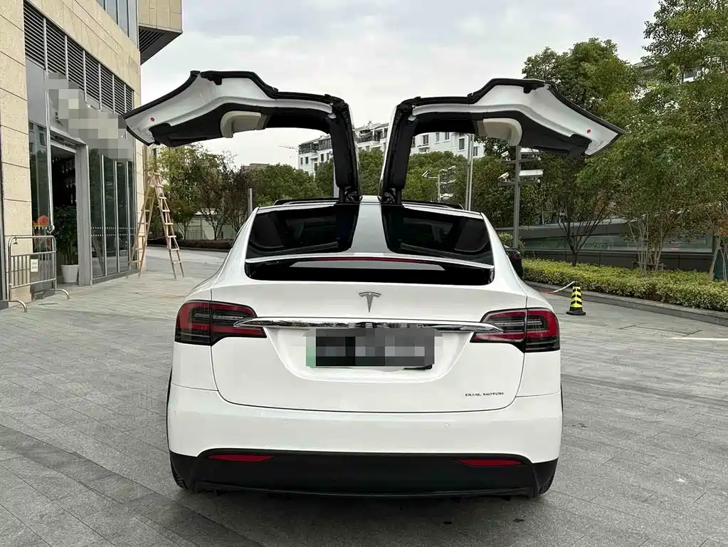 Tesla Model X 2017 Model X 100D