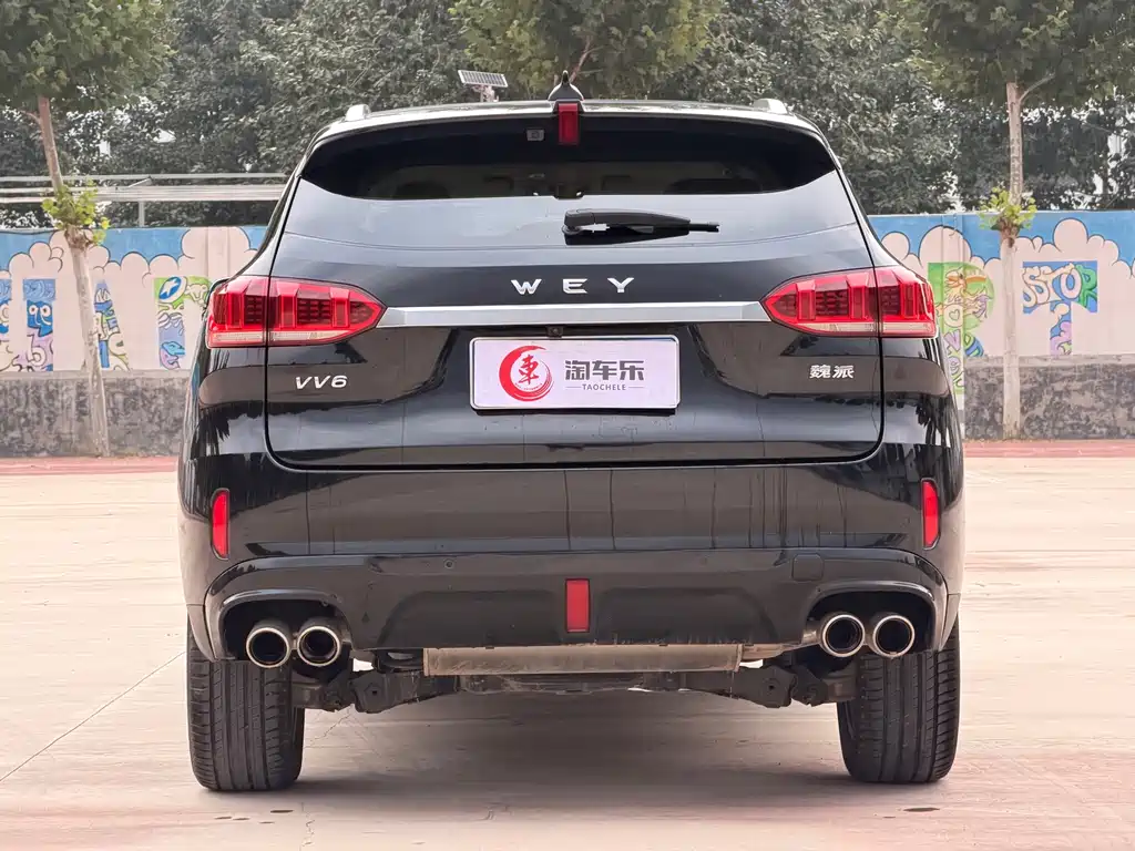 Wey Wey VV6 — миниатюра 23