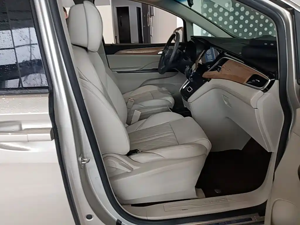 Buick GL8 — миниатюра 25