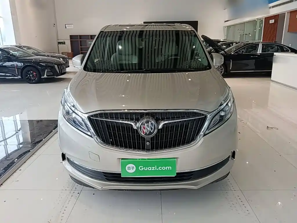 Buick GL8 — миниатюра 3