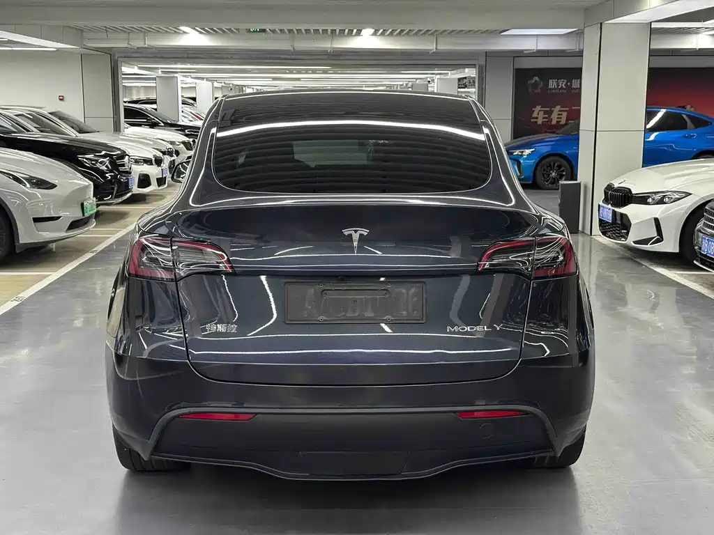 Tesla Model Y — миниатюра 10