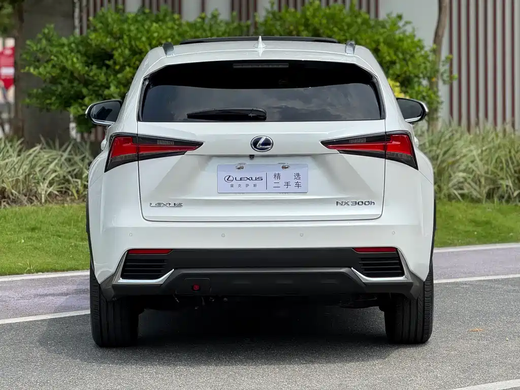 Lexus NX — миниатюра 13