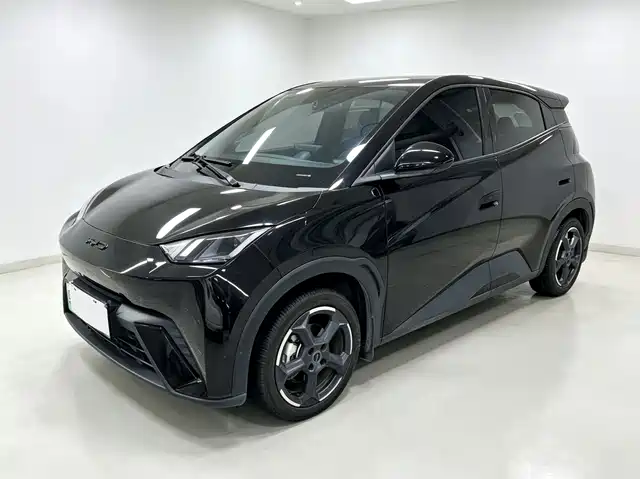 BYD 海鸥