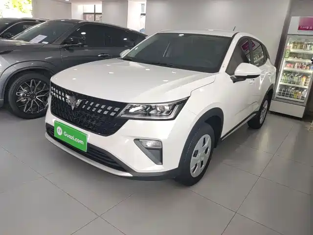 2024 Wuling Motors Xingchi