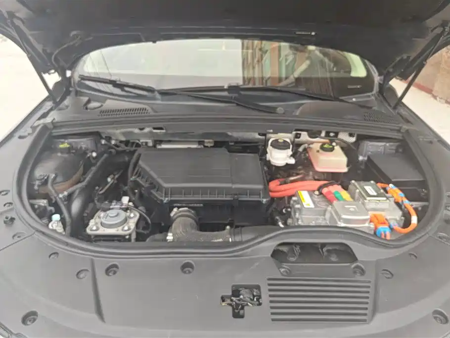 BYD Tang 2018 DM 2.0T 7 мест V