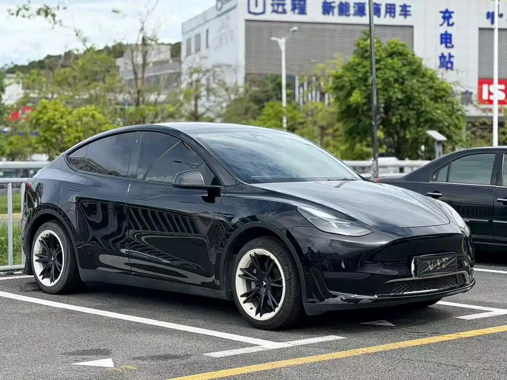 Tesla Model Y — миниатюра 3