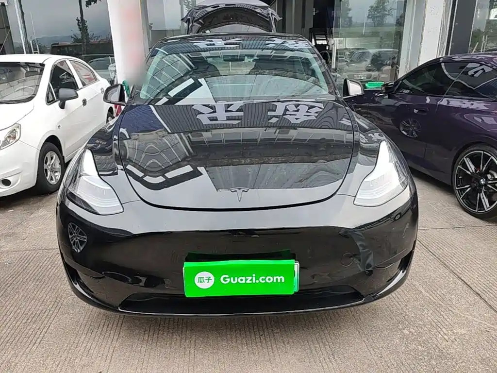 Tesla Model Y — миниатюра 3