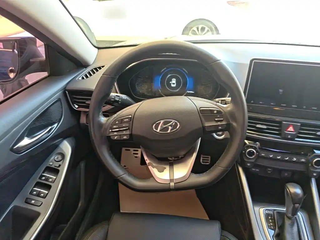 Hyundai Fista — миниатюра 11