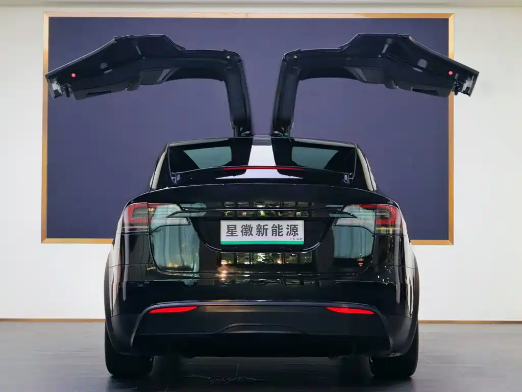 Tesla Model X 2023 — фото 22