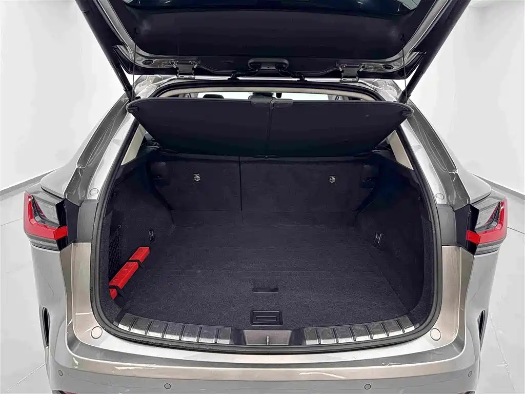 Lexus NX — миниатюра 24