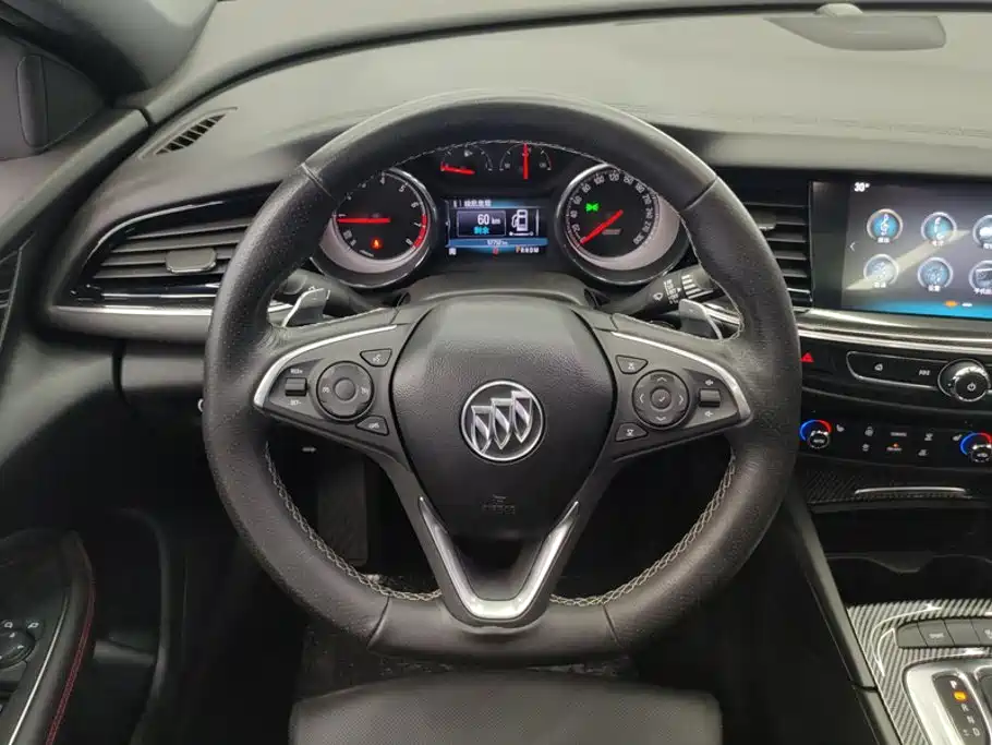 Buick Regal — миниатюра 15