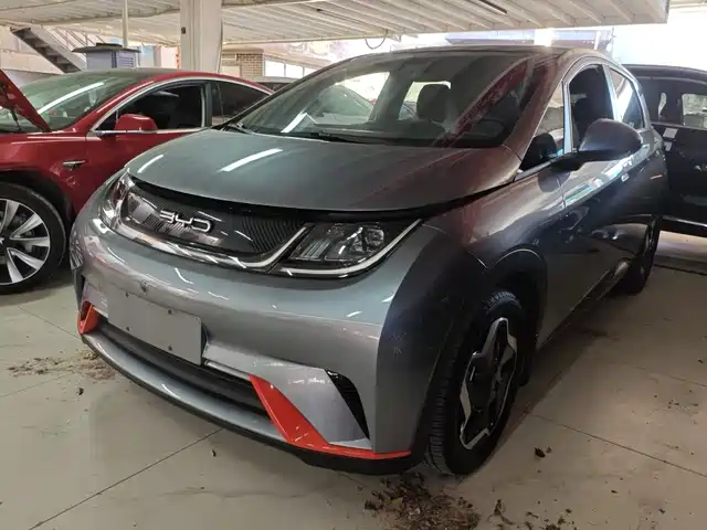 BYD 海豚