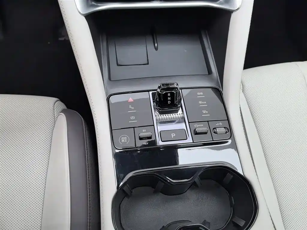 BYD SONGJIANG NEW ENERGY