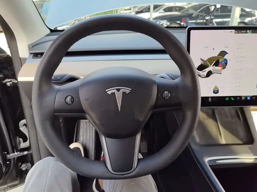 Tesla Model Y — миниатюра 11