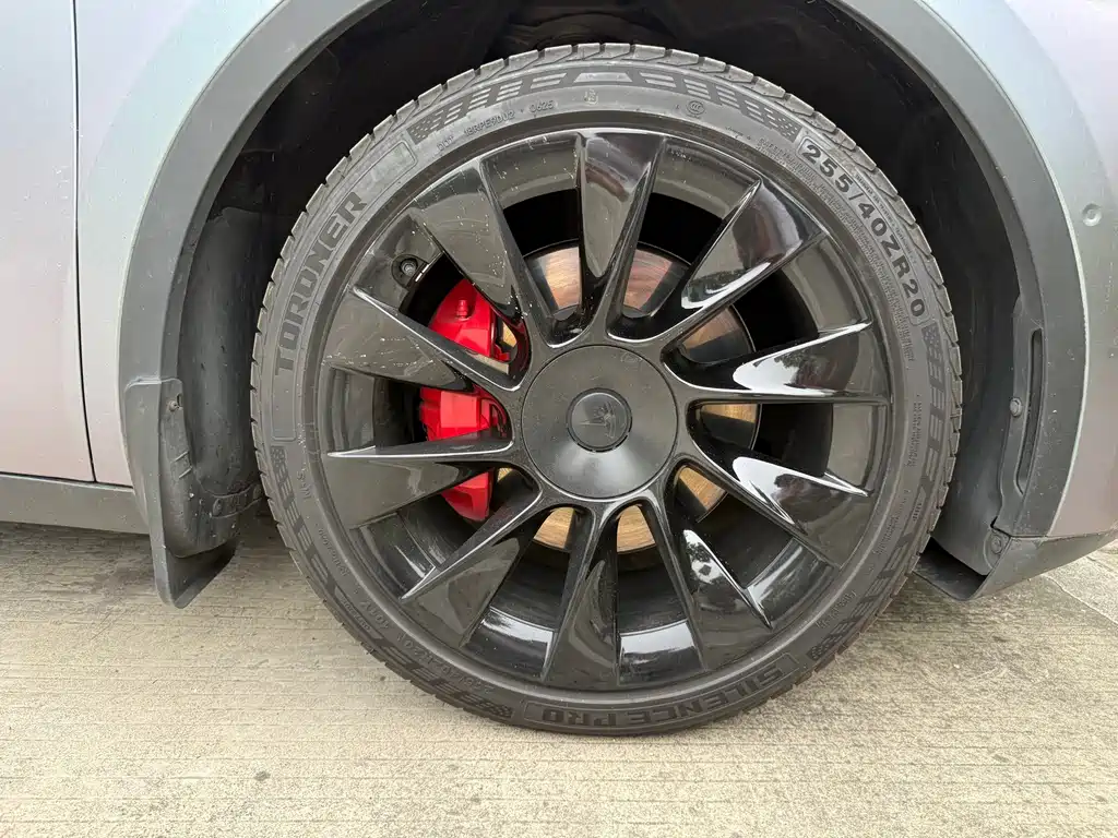 Tesla Model Y — миниатюра 9