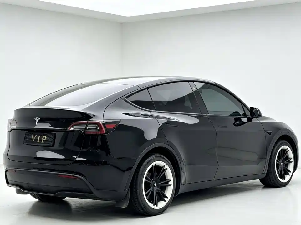 Tesla Model Y — миниатюра 7