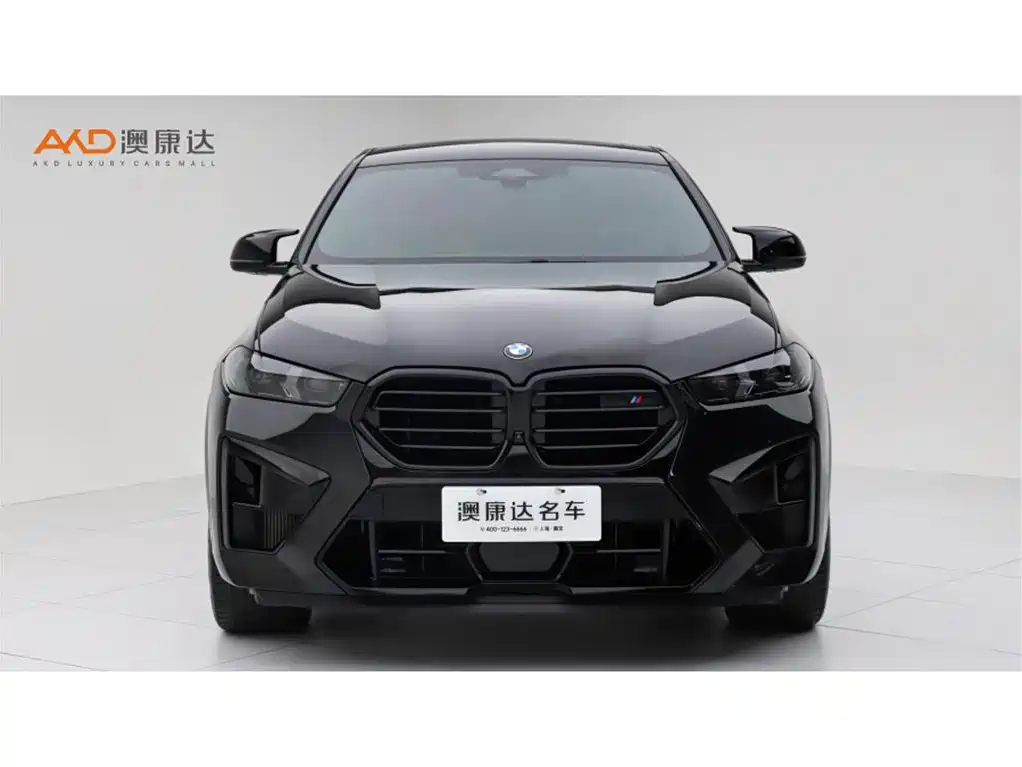 BMW X6 M — миниатюра 2